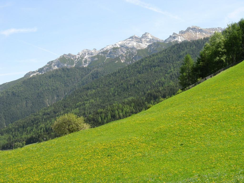 Ferienwohnung Halder Neustift im Stubaital Kültér fotó